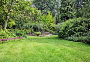 Optimiser l'expérience du jardin à Rupt-sur-Saone